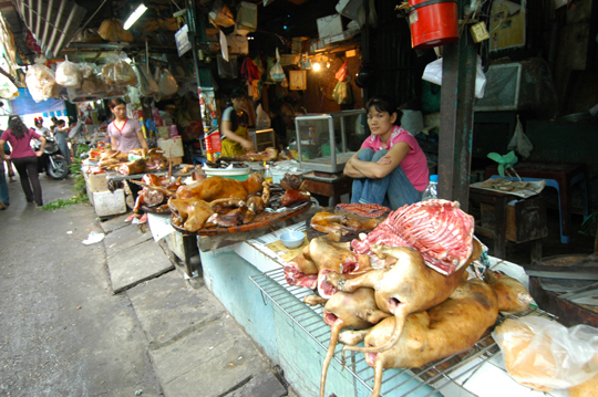 食用犬肉をうる店